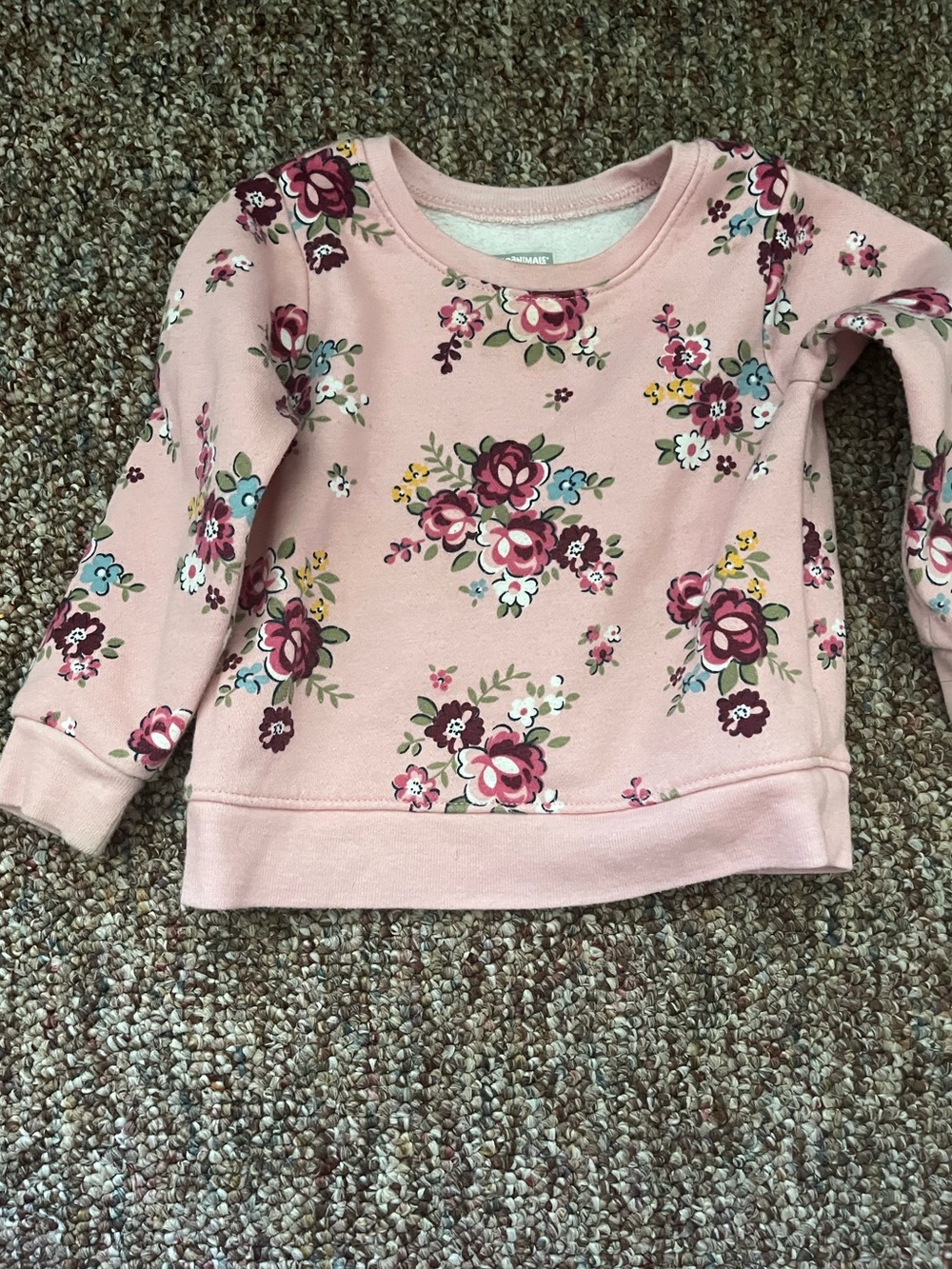 Garanimals Dusty Pink Floral Crewneck Sweatshirt